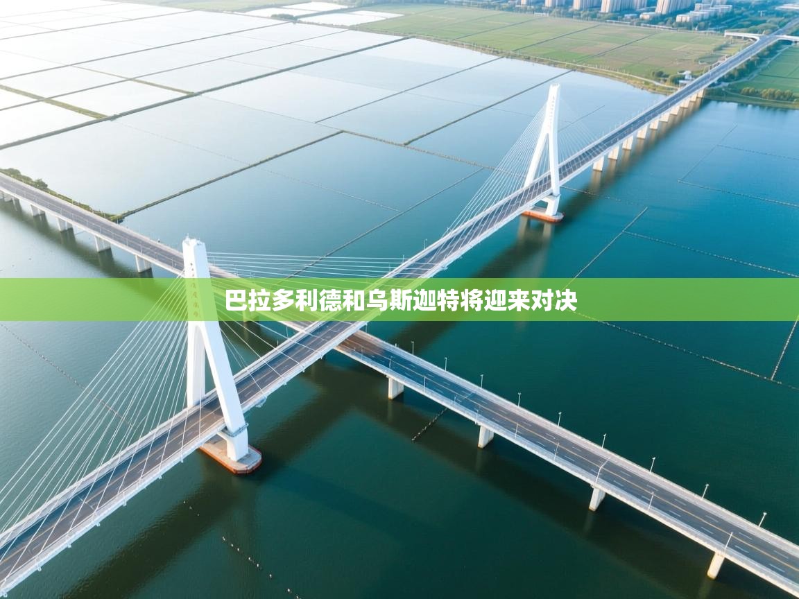 爱游戏娱乐网址-巴拉多利德和乌斯迦特将迎来对决  第2张