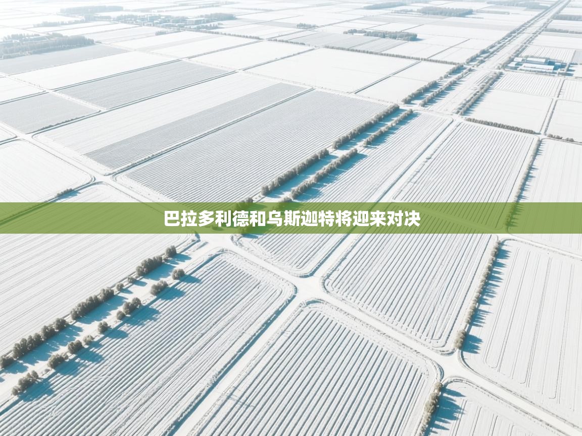 爱游戏娱乐网址-巴拉多利德和乌斯迦特将迎来对决  第3张