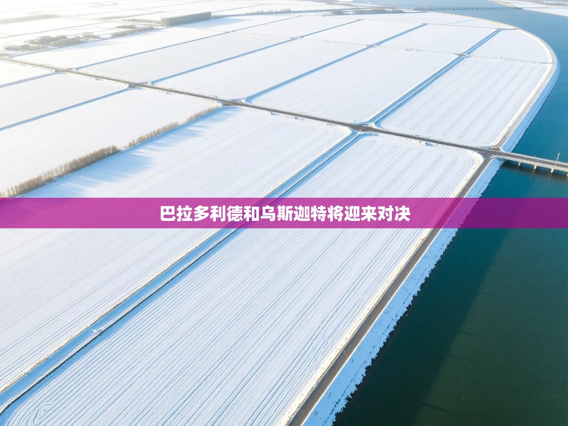 爱游戏娱乐网址-巴拉多利德和乌斯迦特将迎来对决  第4张